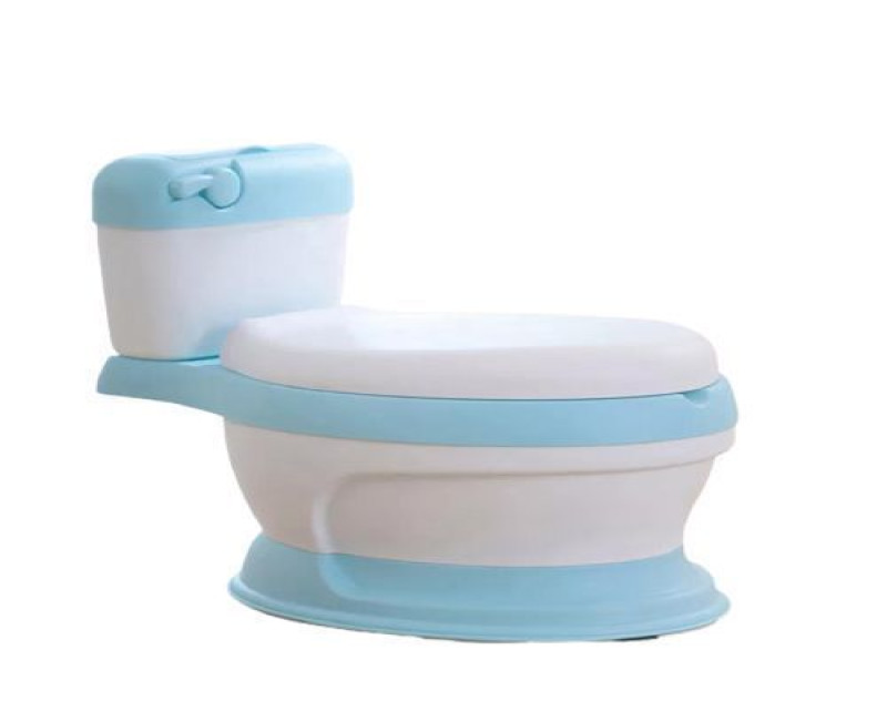Baby Flash Potty