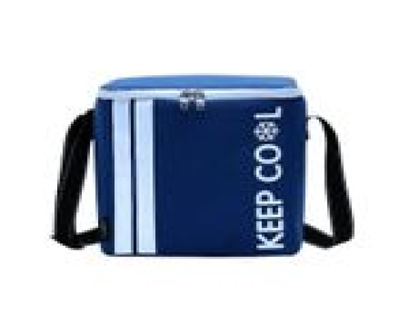 10L Portable Thermal Insulated Travel Basket Cooler Bag For Lunch Picnic Camping Beach Tour Tote Carrier Bag -Multicolor