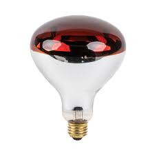 BULB INFRARED 250W E27