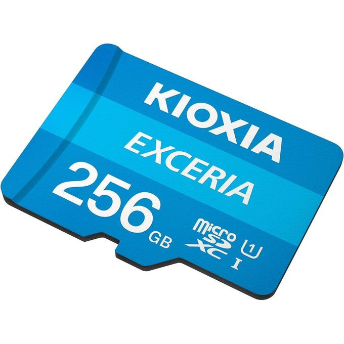 Exceria SD MicroSD Memory Card 256GB 100MB/s