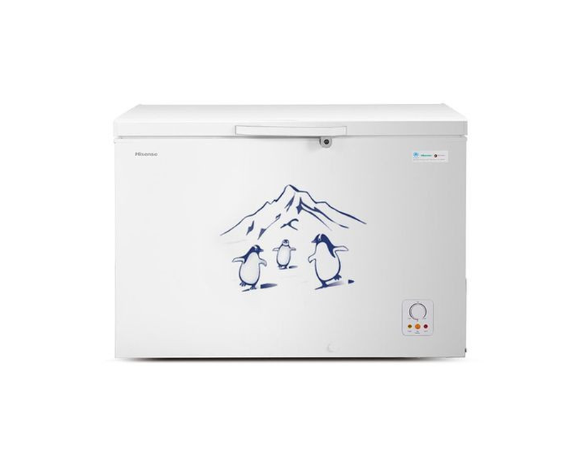 310 Liters Chest Freezer-Multicolour