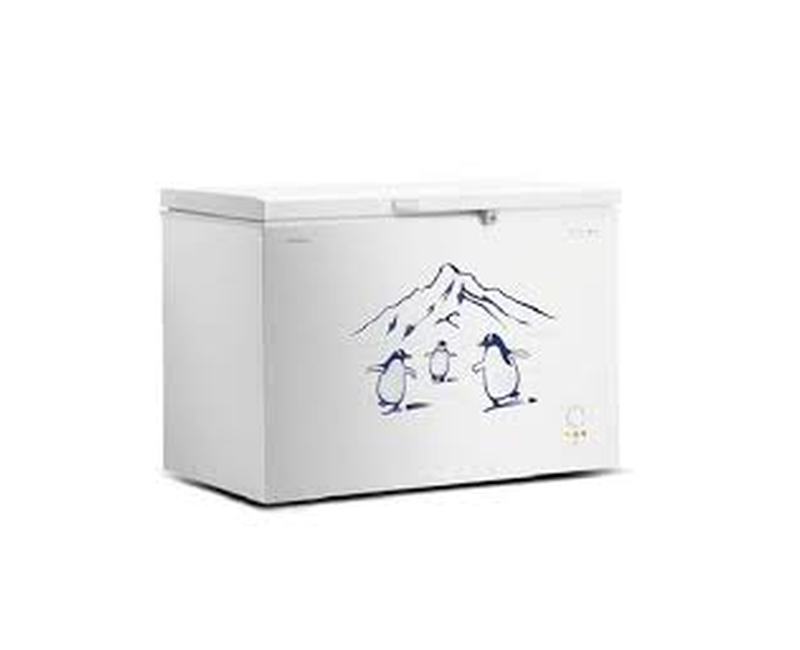 HISENSE 400L deep freezers