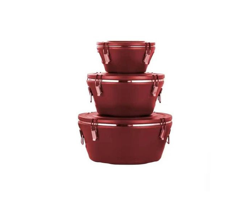 Commercial Outdoor And Home use Large Hot Pots Food Warmer Double Wall Insulated Food Casserole Dishes Coolers set of 3- Multicolor