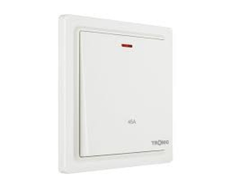 SWITCH DP WITH NEON 45A IVORY TD 5145-IV