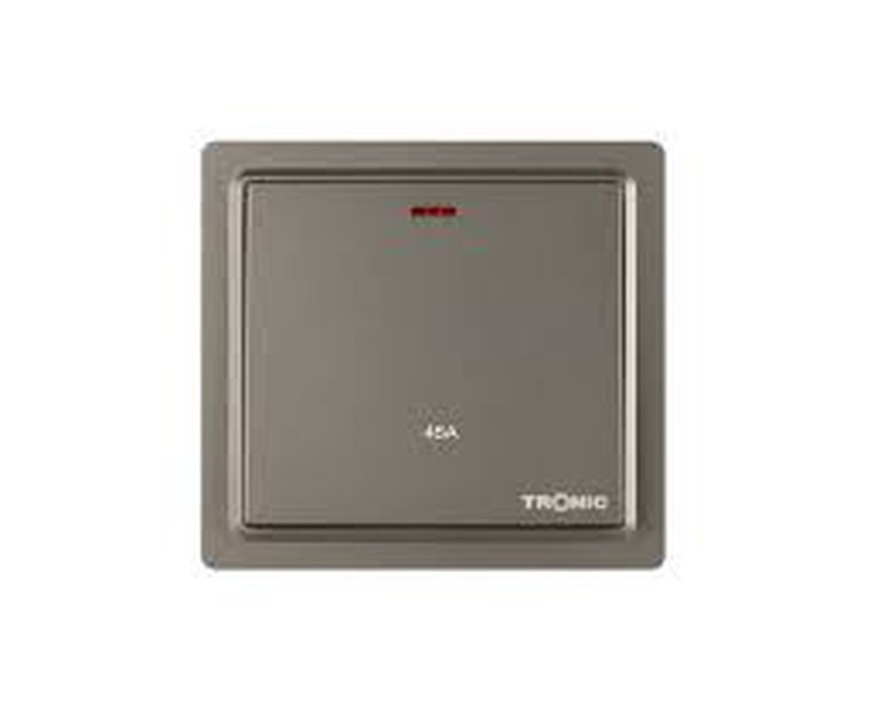 SWITCH DP WITH NEON 45A GRAY TD 5145-GY