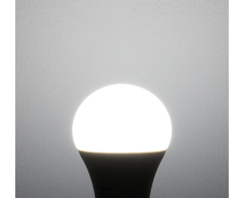 Bulb LED Tronic 5W E27 DL LE 0527-DL