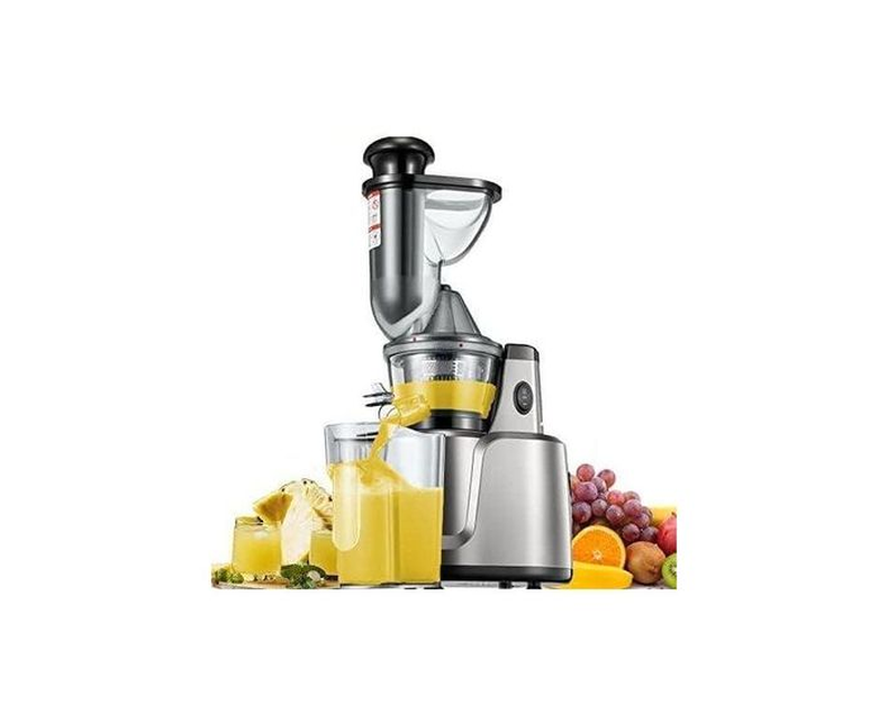 Vertical slow juicer 2 in 1 75 mm Filling Opening, Juicer with Two Filters for Vegetables and Fruit, Baby Food and Ice Cream, Silent, Juice Recipe, Pre-Cleaning Function, Vertical- Silver