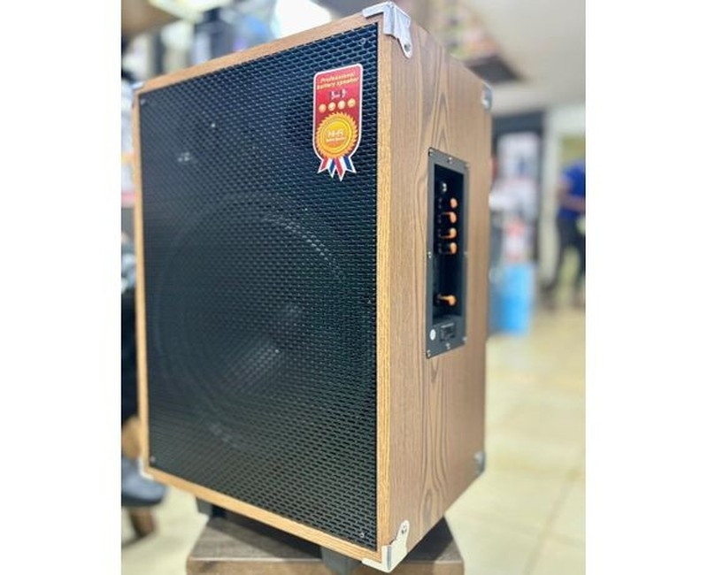 12 Inch Professional Rechargeable Speaker For Public Speaking (Y1204) - Multicolor