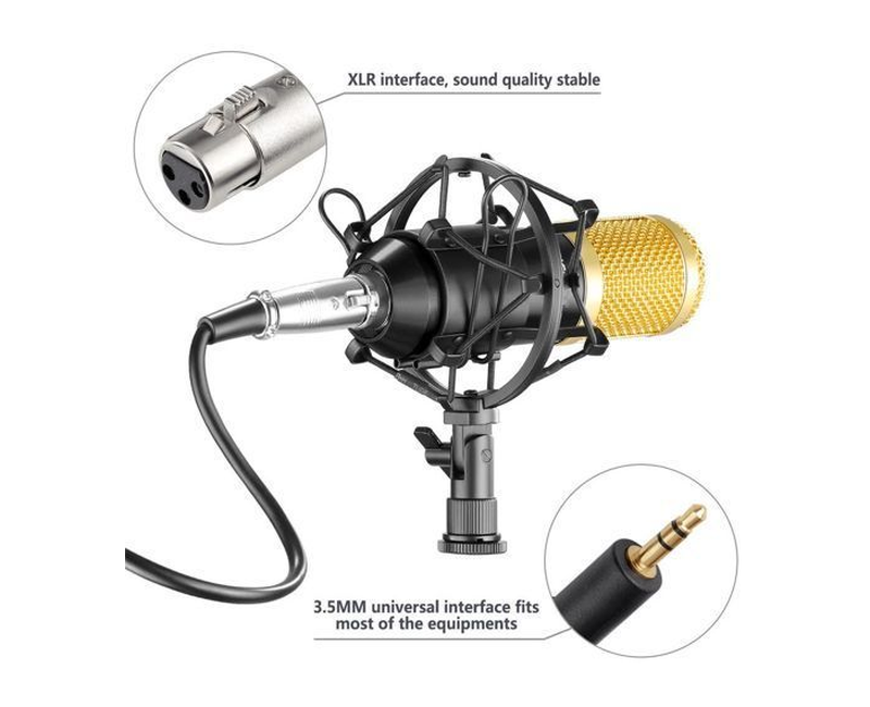 Audio Array AM-C1 USB Condenser Studio Microphone Kit
