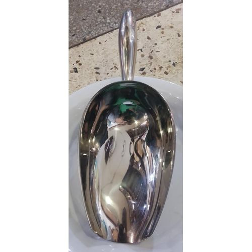 Stainless Steel Scoop