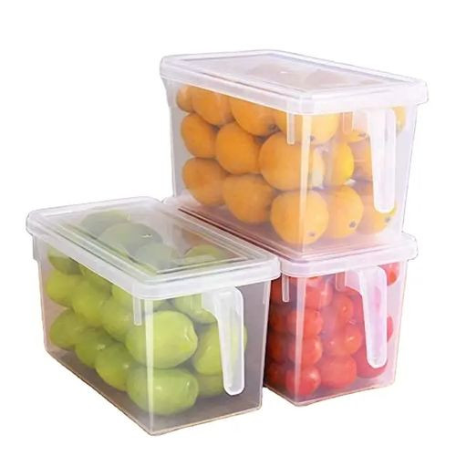 Other Plastic Transparent Fridge Containers (1 Piece )