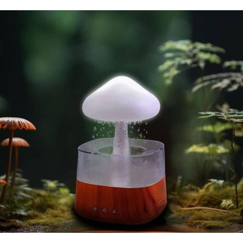 Diffuser – Humidifier,